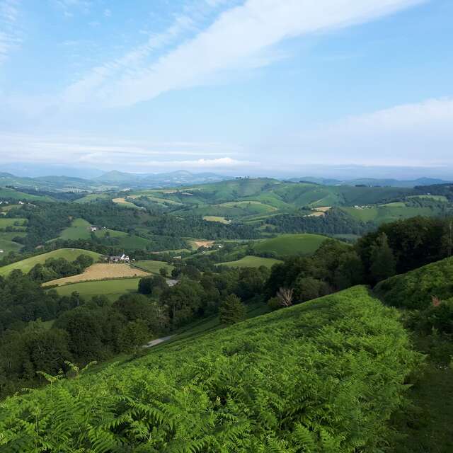 N°91 - Tumulus de la Serre