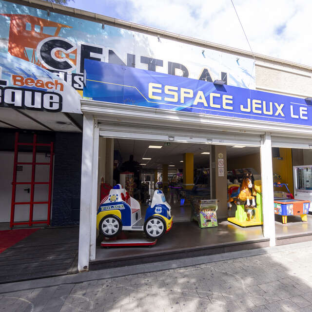 LA SALLE DE JEUX LE FLIPPER