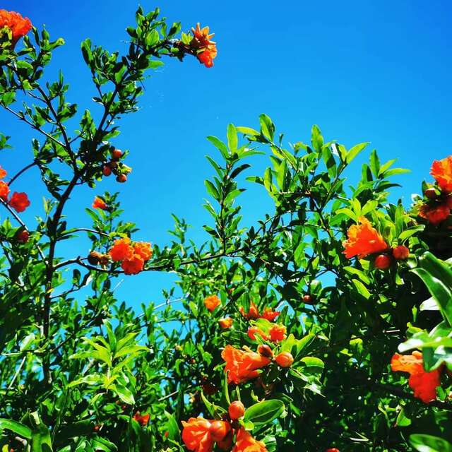 DOMAINE DE LA MER BLANCHE