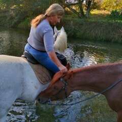 RANCH LES AMAZONES