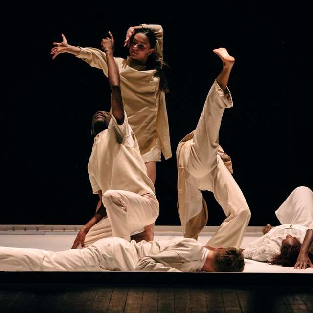 Candide 1.6 - Compagnie 1.5