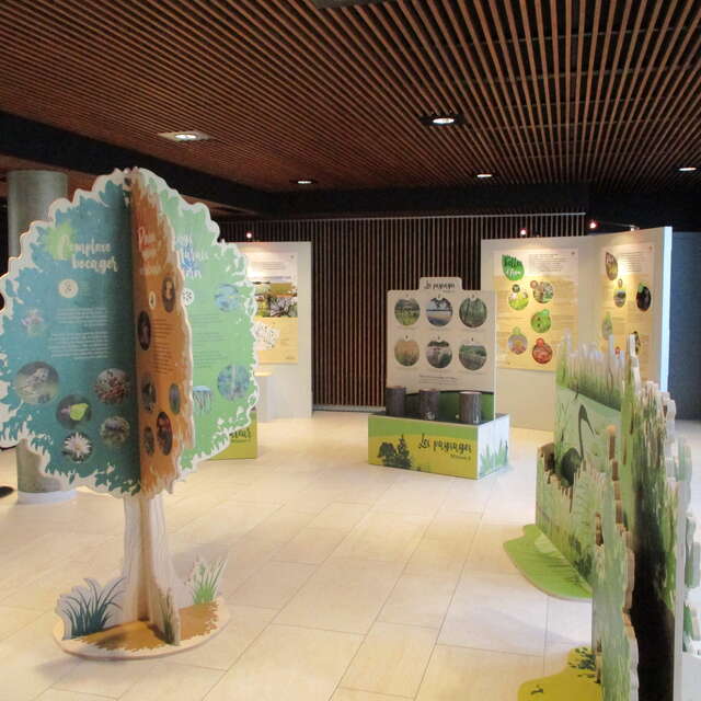 Exposition "Force de la nature" par le département du Maine et Loire