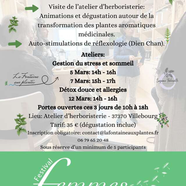 Ateliers plantes médicinales et bien-être