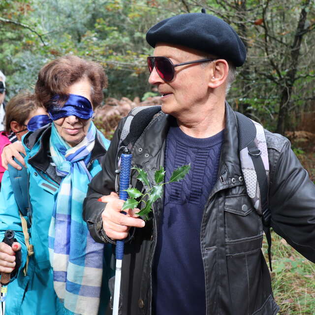 "Sortie en forêt "Voir la forêt autrement"