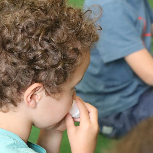 Expérience sensorielle : la forêt au musée