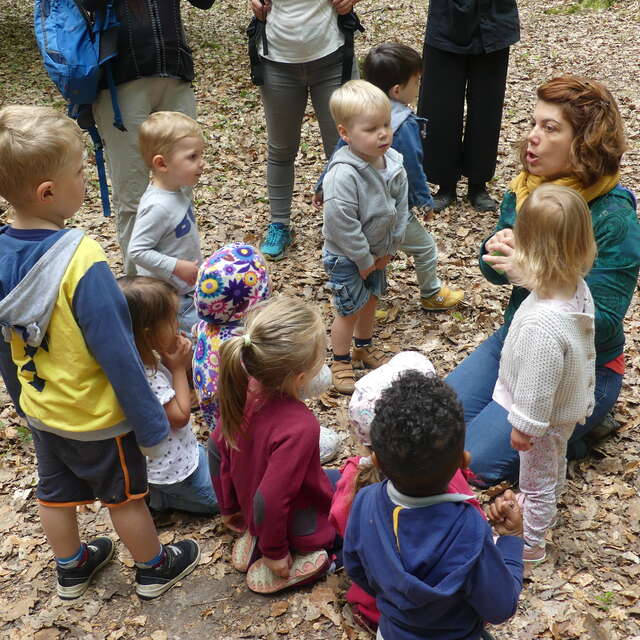 Forêt des tout petits