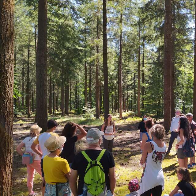 Balade ONF "Biodiversité de Bercé"