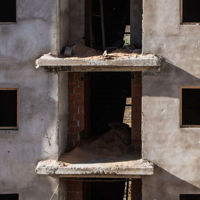 "Le bonheur viendra après" par Camille Millerand