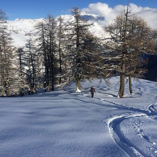 Week-end trappeur gourmand en chalet