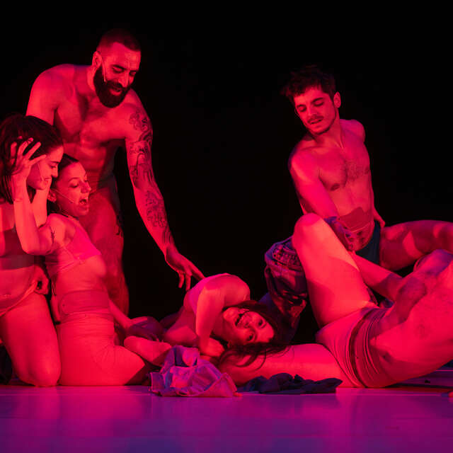 Spectacle - simon feltz - grains