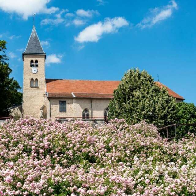 Visite un soir une commune - Essey-lès-Nancy