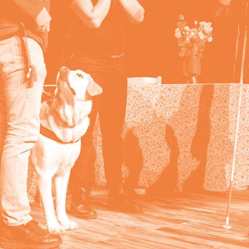 Visite tactile et sonore