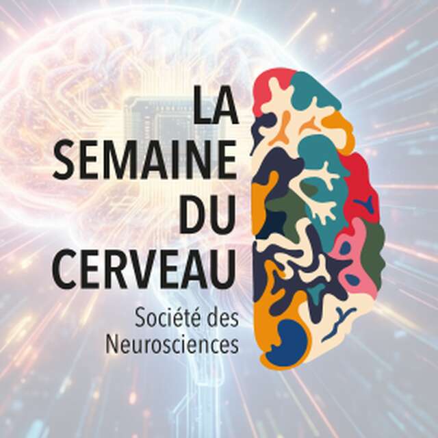 Conférence-Débat - NeuroQuiz - Que peut-on faire avec des Interfaces Cerveau-Ordinateur ?