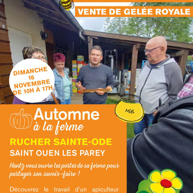 Une journée au rucher, avec Hantz !