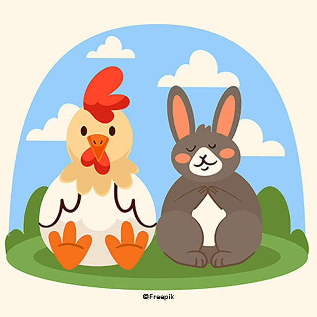 Atelier créatif "petites plumes et grandes oreilles"