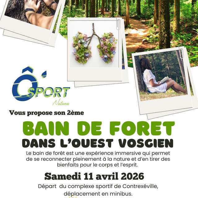 Bain de forêt