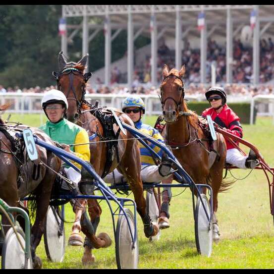 Courses hippiques