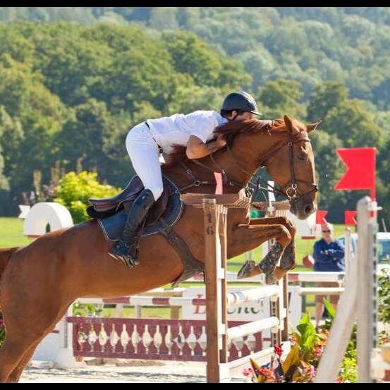 Concours de sauts d'obstacles amateurs / pros