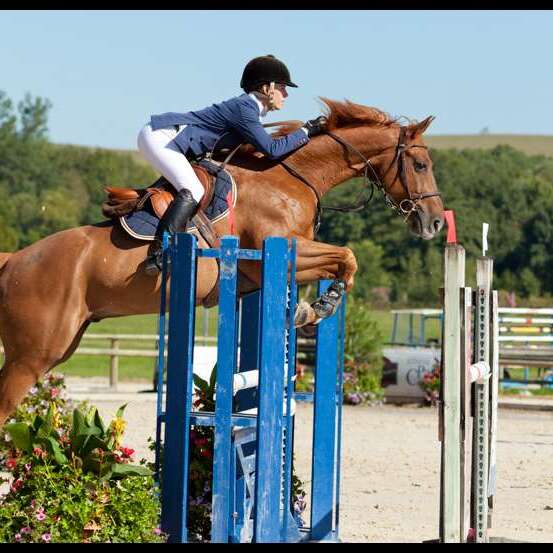 Concours national d'hunter