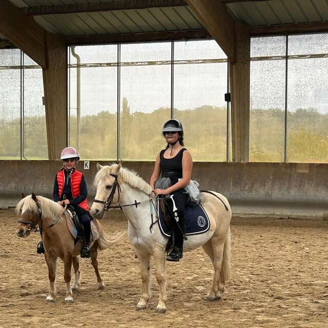 Concours de sauts d'obstacles club - poneys