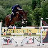 Concours shf cycles classiques jeunes chevaux