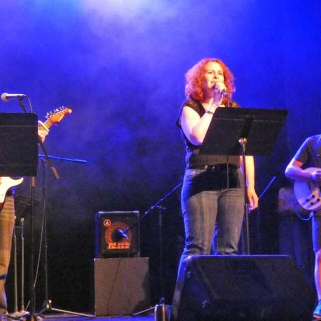 Concert blues rock reggae