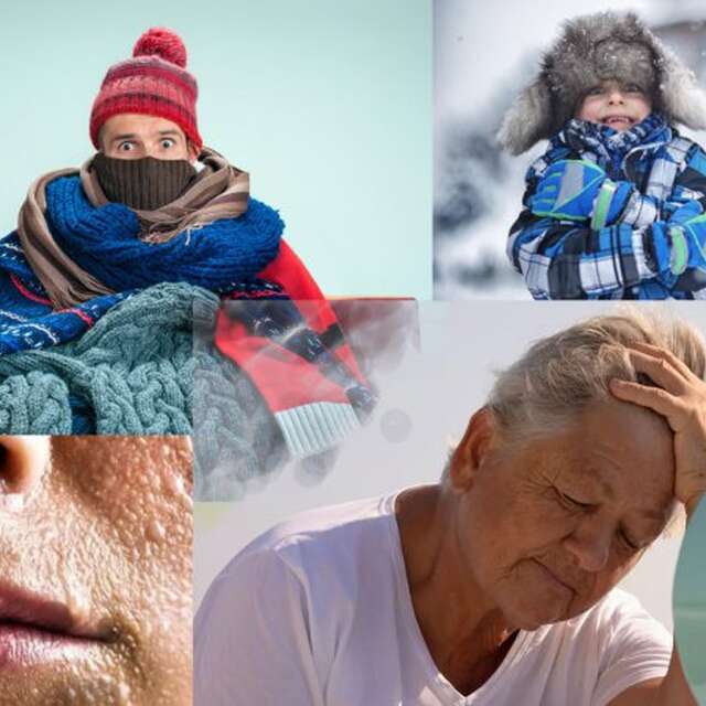 Conference UCP - Métiers de la forêt et du bois au XVIIIème siècle
