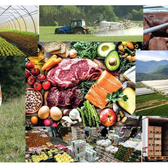 Conférence UCP : L'impact environnemental de nos assiettes