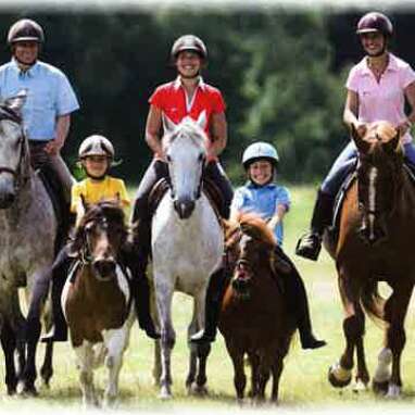 Vittel Rond Pré équitation