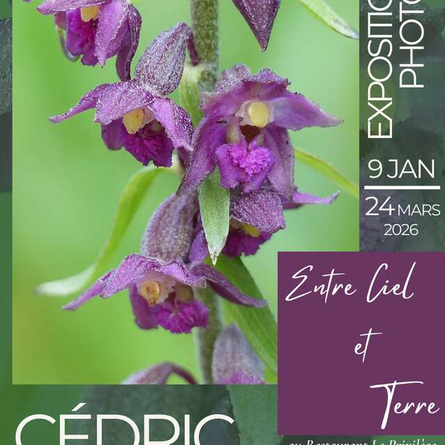 Exposition "Entre Ciel et Terre"