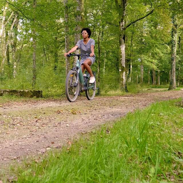 FORET PARC