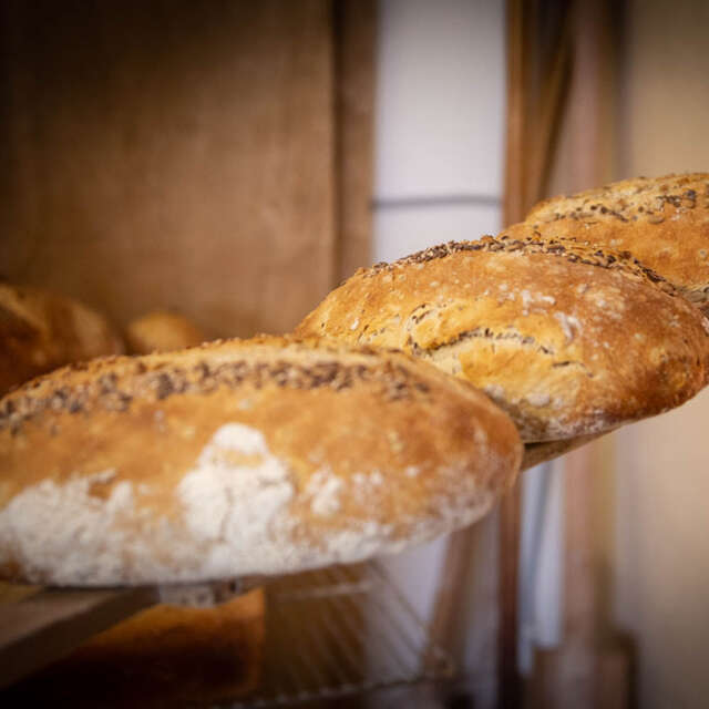 La ferme des co-pains