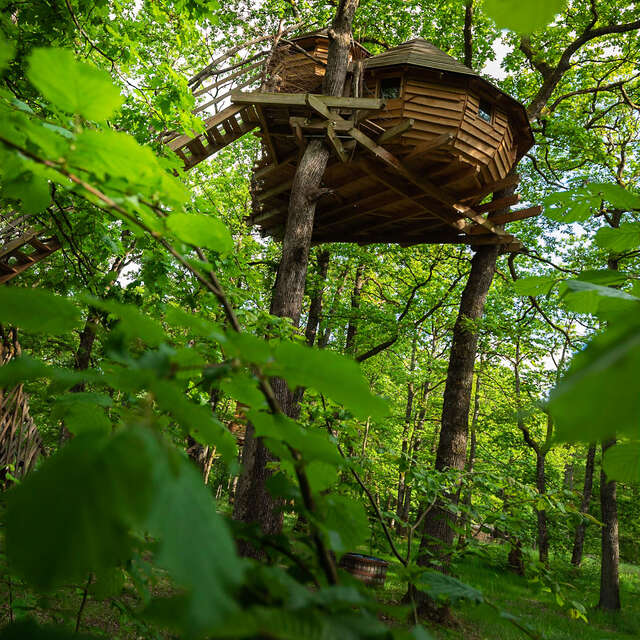 Vit tel ta nature