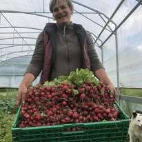 La ferme pays'anne