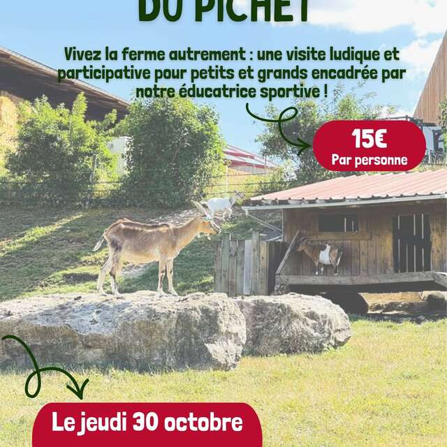 Sortie "Tous à la ferme du Pichet"