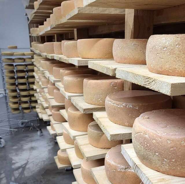 Visite de la fromagerie de la Ferme du Pichet