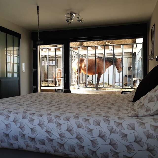 Equi-lodge