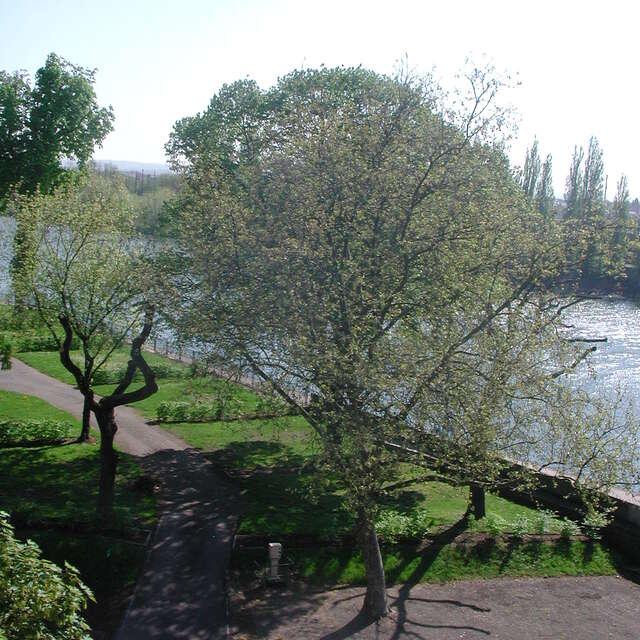 Städtischer Campingplatz Parc Napoléon