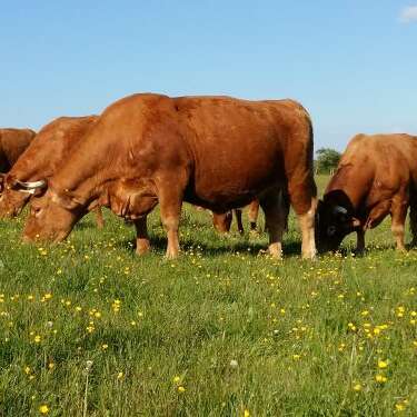 Ferme des Murats