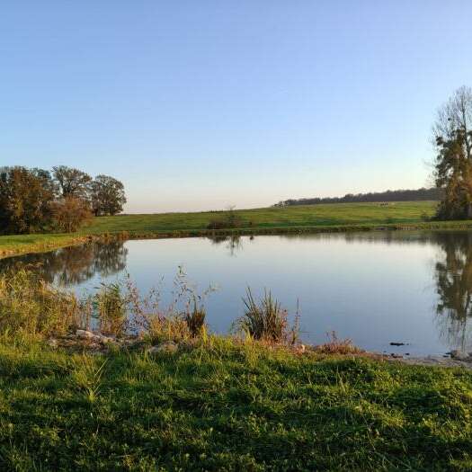 Étang de la grâce - pêche