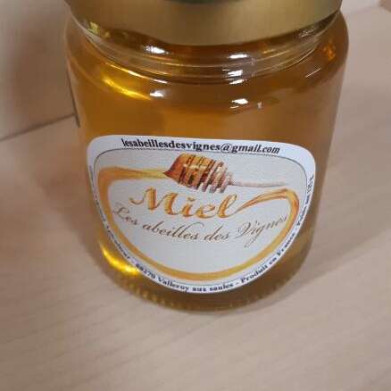 Les abeilles des vignes : miel