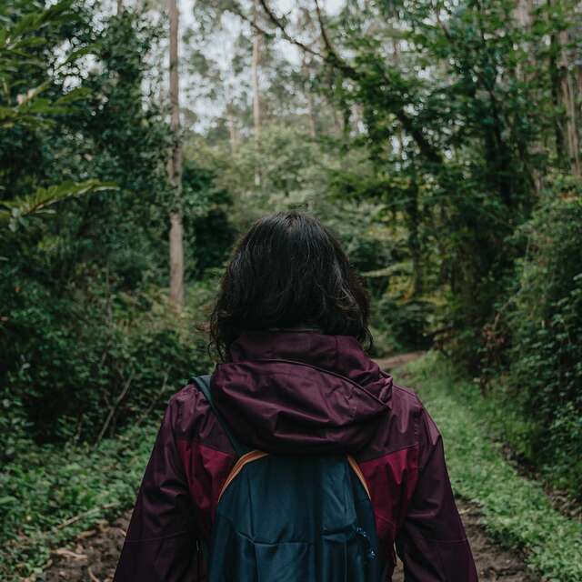 Ambiance tes vacances été - découverte de la nature