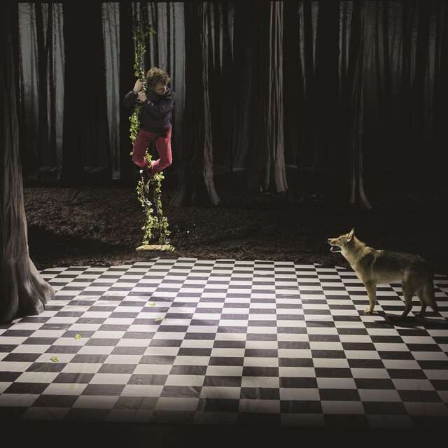 Spectacle : Le bruit des loups