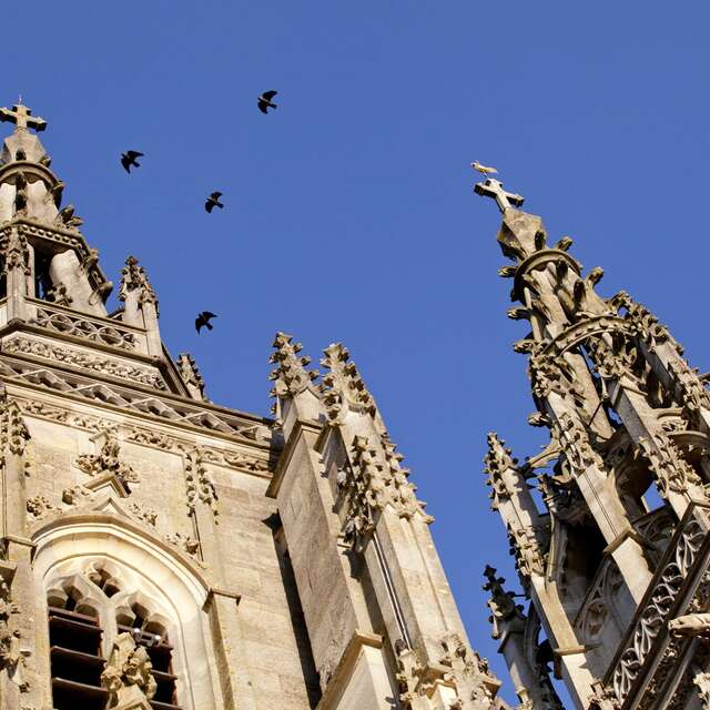 Visite Audioguidée - Basilique Notre-Dame de l'Epine