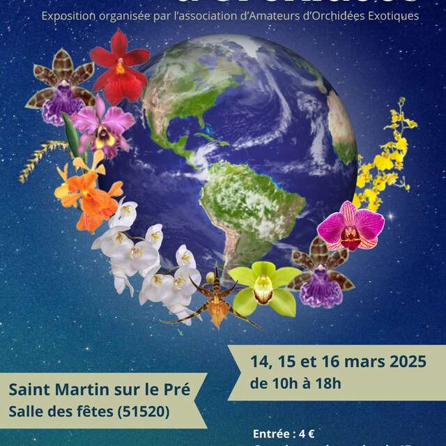 Un Monde d'Orchidées