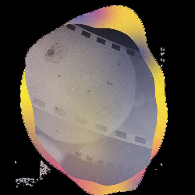 Soirée courts en champagne