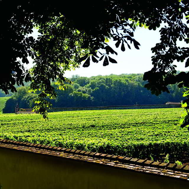 Maison de Champagne Canard-Duchêne