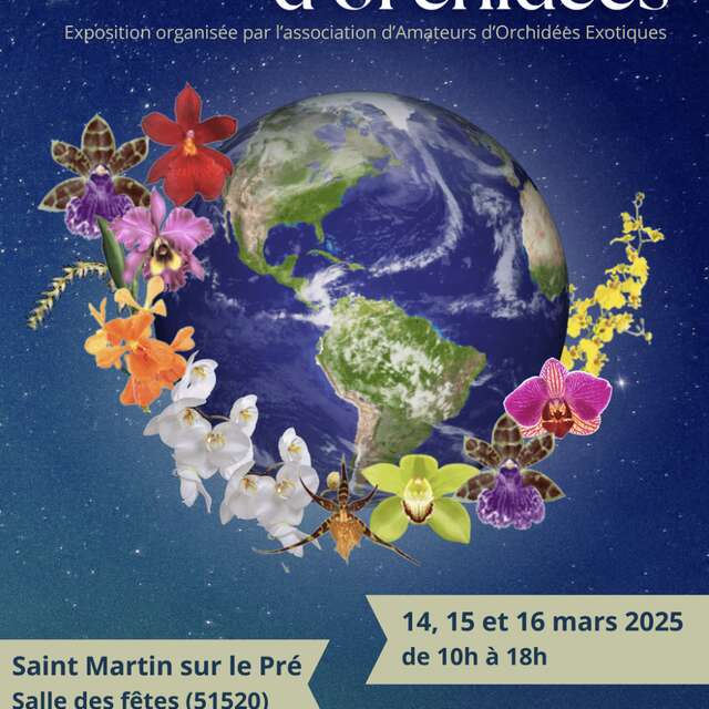Exposition : Un Monde d'Orchidées