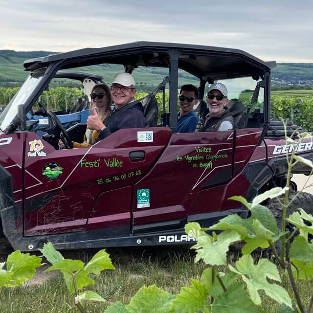 Vignobles en Scène : Les vignobles historiques en Buggy