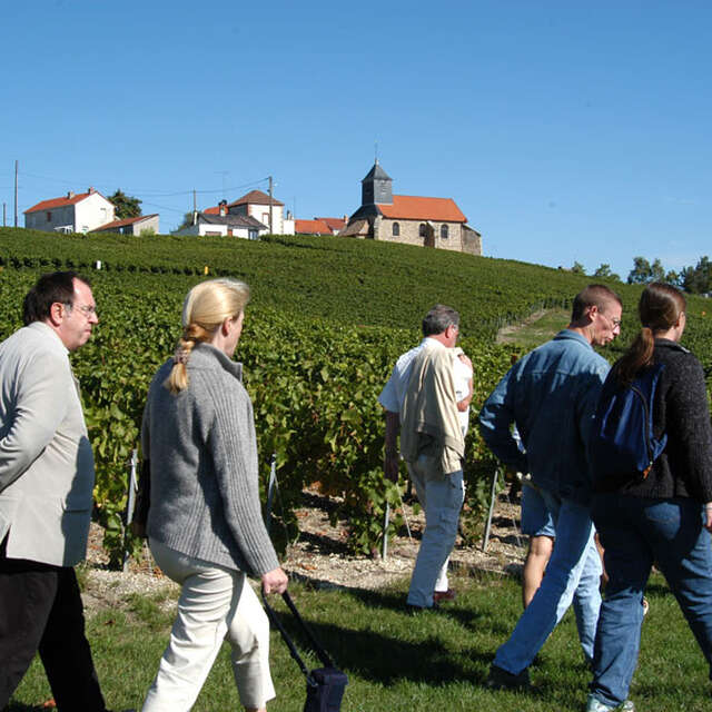 Le sentier du vigneron